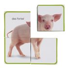 Text: "das Ferkel". Würfel mit Bild eines Ferkels; Kopf, Körper und Beine sind auf verschiedenen Würfelseiten.