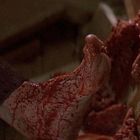 Kein Text vorhanden. Zu sehen ist ein blutverschmierter Fuß auf einer unordentlichen, fleischartigen Masse neben einer Pflanze.