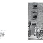 Letzter Tag des Oval Tests am 17. August 1953: Menschen klettern an Laternen; Zuschauer in Fenstern eines Backsteingebäudes.