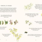 "SPRING IS HERE!" mit Text über Erneuerung und Zitate über den Frühling. Illustrationen von Blumen, Blättern und einem Vogel.