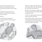 Links: Text über Steve, der bei einem Fußballspiel verletzt wurde. Rechts: Steve sagt, es geht ihm gut und ist bereit zu spielen. Zwei Illustrationen von Steve: liegend mit Ball und sitzend lächelnd.