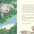 Text über Feuerwerk und Dunkelheit. Links ein Junge mit Eule in Baum, rechts zwei Eulen auf Ast. Illustration.