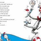 Der Text beschreibt, wie eine Katze viele Dinge gleichzeitig jongliert, darunter Bücher, einen Fisch und ein Spielzeugschiff.