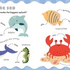Eine bunte Illustration zeigt Meerestiere mit ihren Bezeichnungen: Turtle, Dolphin, Whale, Seahorse, Tropical Fish, Crab, Jellyfish, Starfish.