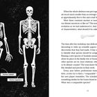 Links: Skelette von "Homo naledi" und "Homo sapiens". Rechts: Text über Entdeckungen und wissenschaftliche Analysen.