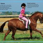 Titel: "You and your horse". Beschreibung von Vergnügen und Pflege eines Pferdes. Mädchen reitet braunes Pferd auf Feld.