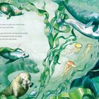 Text in der Mitte beschreibt ein lebendiges, nördliches Ozean-Szenario. Illustrationen mit Robben, Walen und Quallen.