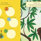 "How Many?" gefolgt von einer Liste mit Aufgaben und einer Illustration eines Frosches mit Buch. "Tropical Tree" mit grünen Blättern.