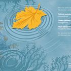 Ein gelbes Blatt schwimmt im Wasser, umgeben von Menschen, die neugierig in die Wellen blicken.