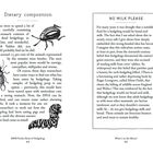 Linke Seite: "Dietary composition". Text beschreibt den Mageninhalt von Igeln, vor allem Käfer. Zeichnungen von Insekten. Rechte Seite: "NO MILK PLEASE". Text über falsche Annahmen, Igel sollten keine Milch trinken. Wichtige Botschaft: Igel brauchen Fleisch.