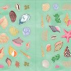 Illustration: Verschiedene bunte Muscheln und Seesterne auf mintgrünem Hintergrund gruppiert.