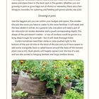 Anleitung zur Tomatenzucht in Töpfen, Ratschläge zur Topfwahl und Pflege. Bild zeigt Tomatenpflanzen in großen Säcken.