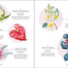1. Fragrant Prosthechea – Orchidee. 2. Cavendish Banana – Bananenpflanze. 3. Flamingo Flower – Rote Blume. 4. Urn Plant – Rosa Blüte. 5. White Frangipani – Duftende Blüte. Illustrationen.