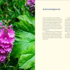 Acknowledgments: Dank an Cindy Riskin, Ella May Wulff, Susan Calhoun, Sam Pratt. Zusammenarbeit mit New Society Publishers.