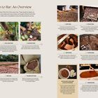 "From Bean to Bar: An Overview" beschreibt die Schokoladenherstellung in 14 Schritten, von Anbau bis Verpackung, mit Bildern.
