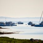 Boote im ruhigen Wasser, umgeben von Felsen und grünem Ufer, am Horizont eine Linie von Bäumen.
