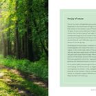 Links ein Pfad in einem sonnigen Wald, rechts englischer Text über Naturerlebnisse. Unten steht: shinrin yoku (forest bathing).