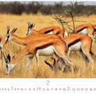 "Impala", Kalenderseite mit Impalas in einer Graslandschaft, darunter Monatsübersicht mit Zahlen von 1 bis 28.
