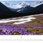 Chocholowska Tal in der Tatra; Februar-Kalender mit schneebedeckten Bergen und lila Krokusblumen auf einer Wiese.