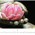 Zahlen 1-28 in zwei Reihen, darunter "2", links steht "CASARES EDITION". Eine Hand hält eine rosa Blüte.
