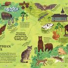 "The Carpathian Mountains", Informationen zu Flora, Fauna und Geschichte der Karpaten; Illustrationen von Tieren und Landschaft.