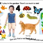 Am Dienstag spiele ich im Garten. Drei Vögel, vier Käfer, drei Gartenzwerge, vier Pflanzen. Eine Katze mit vier Beinen.