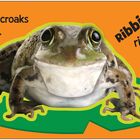 „Frog croaks loudly“ und „Ribbit, ribbit!“ stehen auf orangem Hintergrund. Ein Frosch sitzt auf einem Seerosenblatt.