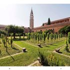 Zahlen 20 und 21 unten. Ein gepflegter Garten mit Weinstöcken, im Hintergrund ein Kirchturm und Gebäude mit roten Dächern.