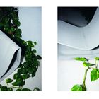 Links und rechts steht "SWISS MADE". Zwei graue, gebogene Stühle neben grünen Pflanzen.