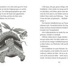 Eine große Schildkröte mit buntem Panzer; darauf sitzt ein Insekt mit großen Augen und Blättern. Textseiten links und rechts.