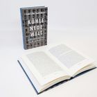 "Jan Eike Dunkhase, KÜHLE NEUE WELT, EINE GESCHICHTE DER MODERNE." Ein aufgestelltes Buch, daneben ein geöffnetes Exemplar.