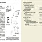 Kapitel 5.19 beschreibt Marasmius, Schwindlinge und Ähnliche. Es gibt detaillierte Merkmale, Beschreibungen und Skizzen von Pilzen.