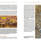Text oben: „Monitoring von Varroaresistenz-Merkmalen bei den Westerham Beekeepers“. Links: Bienenwaben. Rechts: Text über Bienen.