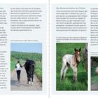 "Die Welt aus Sicht des Pferdes", "Das Normalverhalten des Pferdes", Fotos zeigen Menschen mit Pferden und Pferde allein.