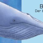 Text: "BLAU Der blaue Wal". Illustration eines stilisierten blauen Wals in Blau-Nuancen.