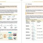 Texte in Tabellen und Absätzen erläutern Amine und Carbonsäuren, inklusive Formeln und Reaktionen. Diagramme und Strukturbilder ergänzen den Text.