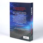 Buchrückseite mit Text über eine mysteriöse Einbruchserie auf Sylt und das Ermittlungsteam um Ex-Kommissar Karl Sönnigen.