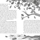 Auf der linken Seite steht eine Geschichte über eine Eiche auf dem Schulhof. Rechts ist eine schwarz-weiße Baum-Illustration.