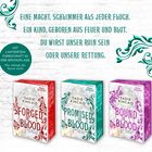 Text: "EINE MACHT, SCHLIMMER ALS JEDER FLUCH. EIN KIND, GEBOREN AUS FEUER UND BLUT. DU WIRST UNSER RUIN SEIN ODER UNSERE RETTUNG." Darunter drei Bücher mit Farbverläufen in Rot, Grün und Lila.