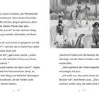 Texte beschreiben Lauras Vorfreude auf Fohlen. Illustration: Drei Kinder reiten auf Pferden im Wald.