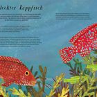 „Gefleckter Lippfisch“: Beschreibung des Fisches im Ostatlantik, Farben und Muster. Illustration von bunten Fischen und Algen.