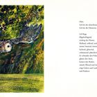 Rechts Text: "Hört. Ich bin der ahornbraune Alte. Ich bin die Düsternis..." Links eine Illustration einer fliegenden Eule.