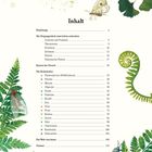 "Inhalt: Einleitung, Die Vergangenheit zum Leben erwecken, Karten der Vorzeit, Die Erdzeitalter, Die Welt von heute, Glossar."  
Illustration mit Blättern, Insekten und Farnen.