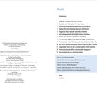 Inhaltsverzeichnis mit Kapiteln von "Einleitung" (Seite 6) bis "Das Kindeswohl ins Zentrum stellen" (Seite 97). Exkurse-Themen wie "Loyalitätskonflikte".