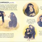 Mit SCHIMPANSEN sprechen. Schimpansen verständigen sich durch Laute. Bilder zeigen verschiedene Schimpansen in Aktionen.