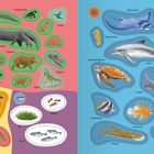 Links bunte Tiere wie Kaiman, Ameisenbär; rechts Meeresbewohner wie Delfin, Seepferdchen auf blauem Grund.