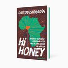 Buchcover mit grünem Afrika, orangefarbenem Nigeria und digitalen Verbindungen. Text: Carlos Barragán, Hi Honey.