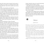 Seitenzahlen: 28 und 29. Kapitelname: "Matteo: Elf Jahre zuvor." Enthält beschreibenden Text über eine Begegnung und Gedanken.