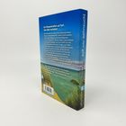 Ein Klassentreffen auf Sylt, das alles verändert. Unten: "Ich mag die Glücksromane von Claudia Thesenfitz sehr."