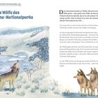 Titel: "Die Wölfe des Yellowstone-Nationalparks". Links Illustration mit Wölfen, Bergen und schneebedeckter Landschaft.